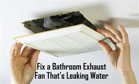 water dripping from bathroom exhaust fan when it rains|How to Fix a Leaking Bathroom Exhaust Fan During。